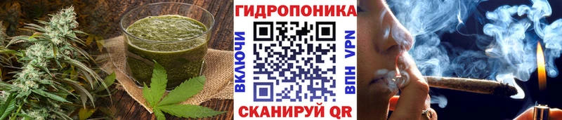 Купить где  Солигалич  Cannafood марихуана 
