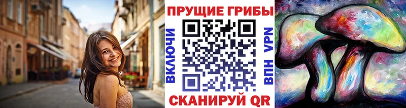Купить закладки  Солигалич  Псилоцибиновые грибы MAGIC MUSHROOMS 