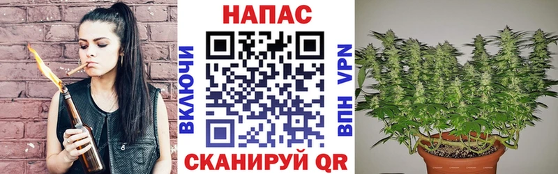 Конопля MAZAR  Купить закладки  Солигалич 